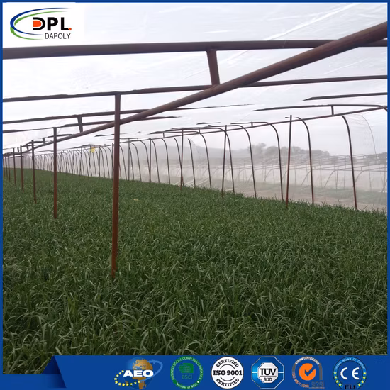 Saco de embalagem HDPE Saco de rede de malha tubular mono filamento para vegetais de frutas de cebola